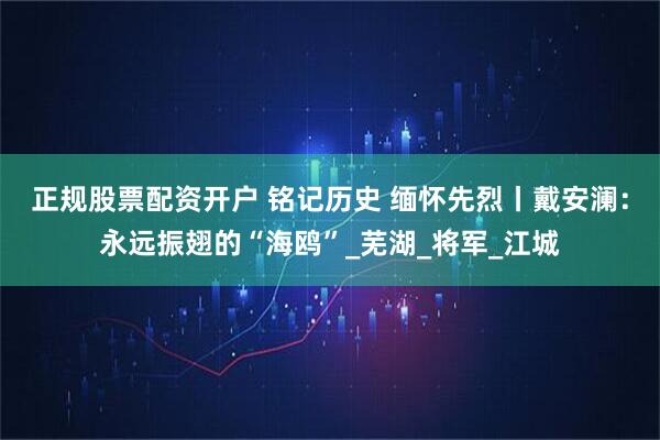 正规股票配资开户 铭记历史 缅怀先烈丨戴安澜：永远振翅的“海鸥”_芜湖_将军_江城