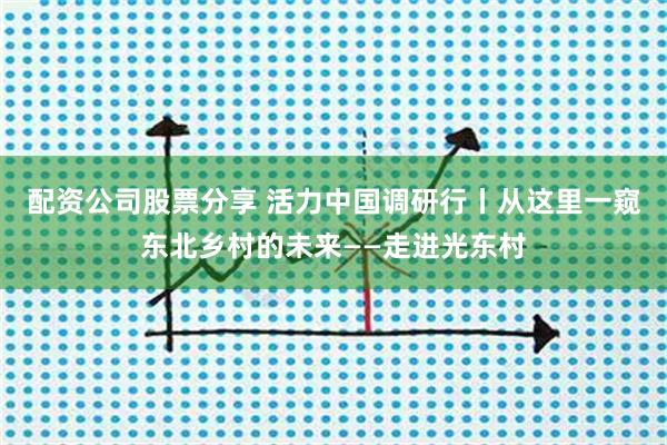配资公司股票分享 活力中国调研行丨从这里一窥东北乡村的未来——走进光东村