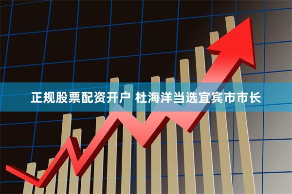 正规股票配资开户 杜海洋当选宜宾市市长