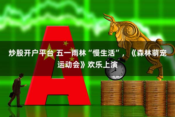 炒股开户平台 五一雨林“慢生活”，《森林萌宠运动会》欢乐上演